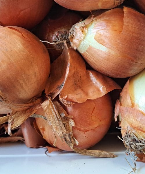 Tajne dugovječnog zlata iz vrta: Kako produžiti svježinu luka na više mjeseci