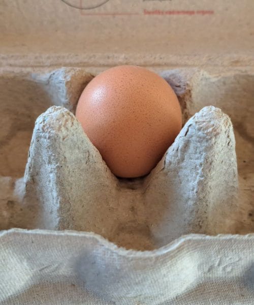 Mogu li napraviti palačinke samo s jednim jajetom? Odgovor je korisniji nego što očekujete