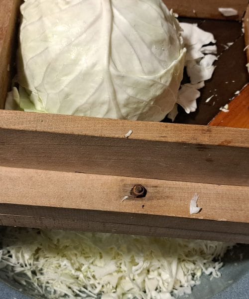 Kako napraviti kiseli kupus u staklenkama bez posebne posude?