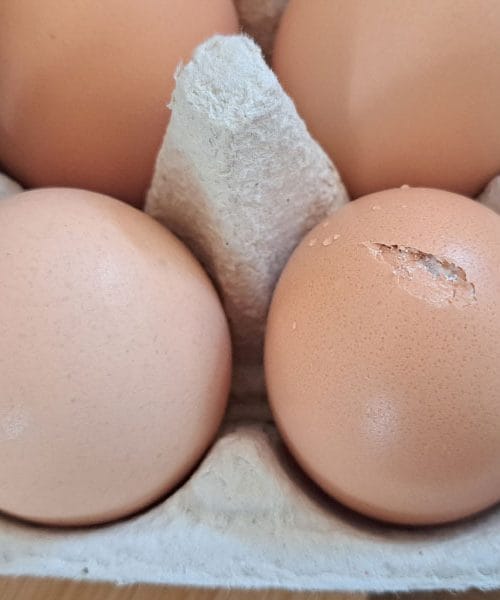 Je li napuklo jaje sigurno za jelo ili ga je bolje baciti