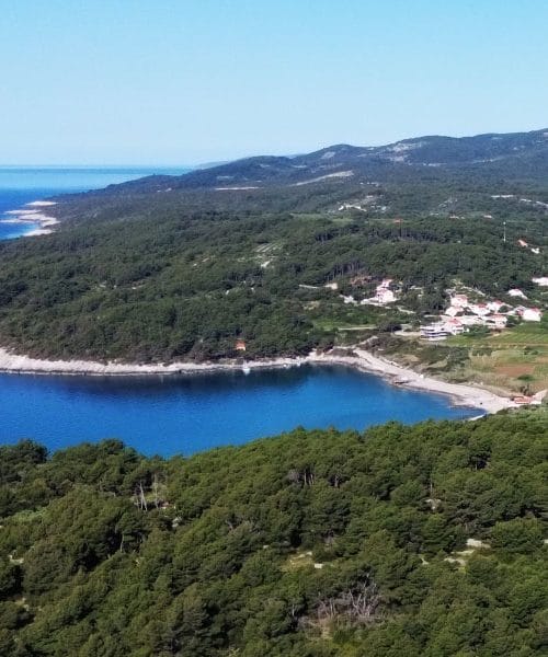 Na Korčuli pronađeno prvo gnijezdo glavate želve u Hrvatskoj