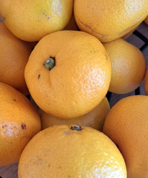 Kako u trgovini prepoznati dobre mandarine? Ove trikove ne smijete propustiti