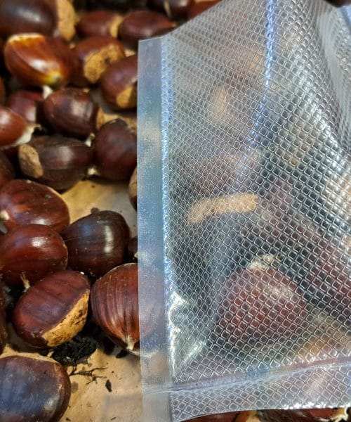 Kako čuvati kestene vakuumiranjem i na što treba paziti