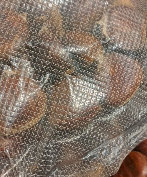 Tri stvari na koje morate paziti pri vakuumiranju kestena – da se ne pokvari i zadrži prirodnu aromu