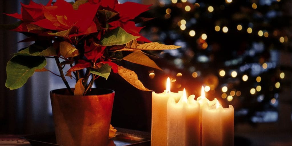 Blagdanska navika u domu