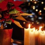 Blagdanska navika u domu