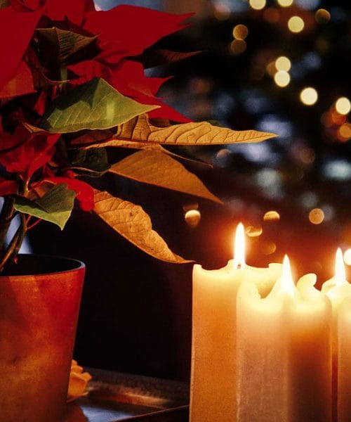 Ova navika u danima prije Božića može pogoršati kvalitetu zraka u domu