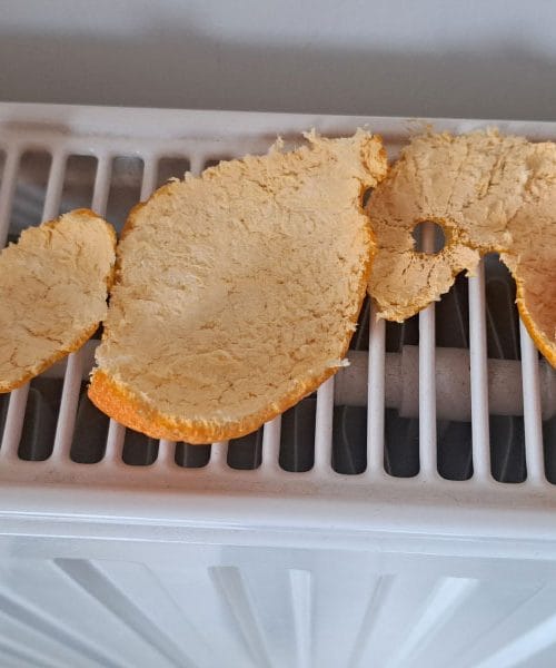 Sušenje kora od mandarine: mirisni trag zime koji ostaje dugo nakon što plod nestane