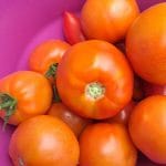 Paradajz