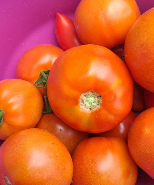 Koje namirnice nikako ne biste smjeli držati zajedno u hladnjaku