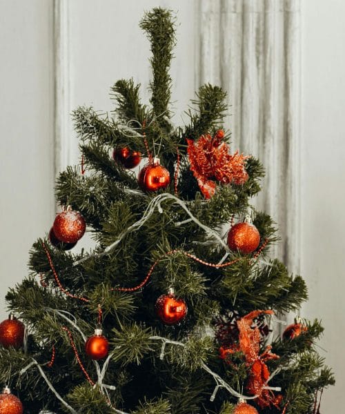 Prirodna jela ili umjetno božićno drvce? Dilema koja se vraća svakog prosinca