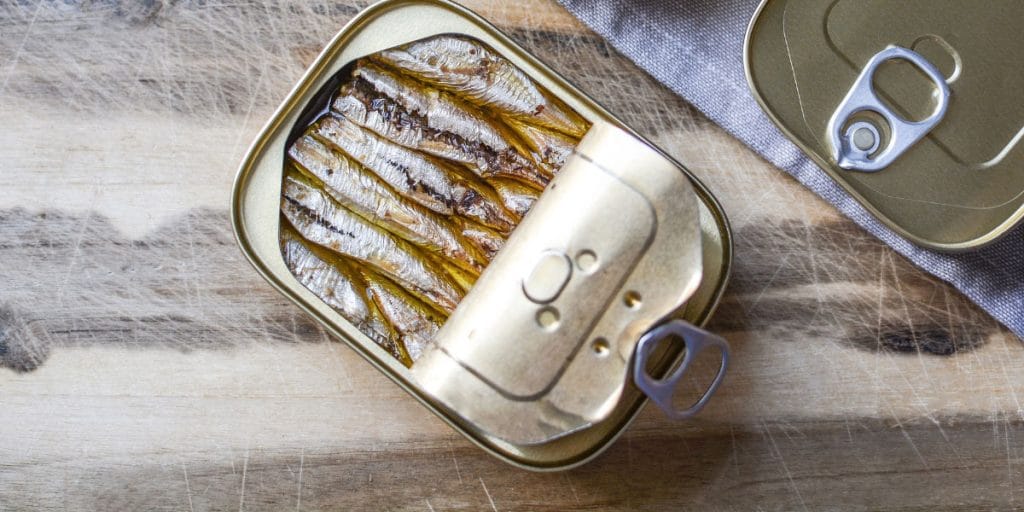 Riba iz konzerve