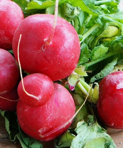 Ova proljetna namirnica čisti organizam bolje, kot si misli večina ljudi