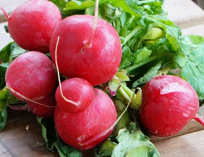 Ova proljetna namirnica čisti organizam bolje, kot si misli večina ljudi