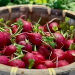 Jedete li već rotkvice? Razlog je bolji nego što se na prvi pogled čini