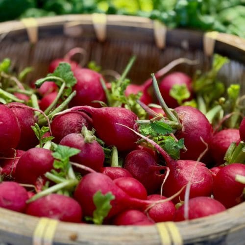 Jedete li već rotkvice? Razlog je bolji nego što se na prvi pogled čini