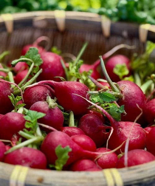 Jedete li već rotkvice? Razlog je bolji nego što se na prvi pogled čini