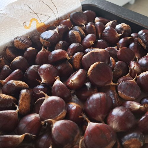 Donijeli ste kestene iz šume? Prije spremanja napravite ovo kako se ne bi pokvarili